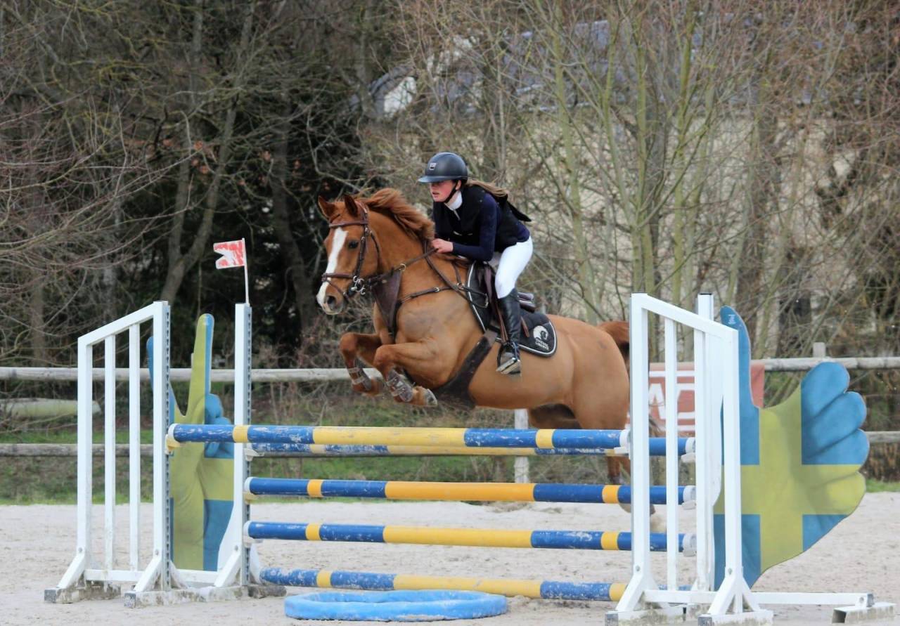 Ruin Franse rijpony PFS Te koop 2011 Vos ,  MEEPING CHA DE FLORYS