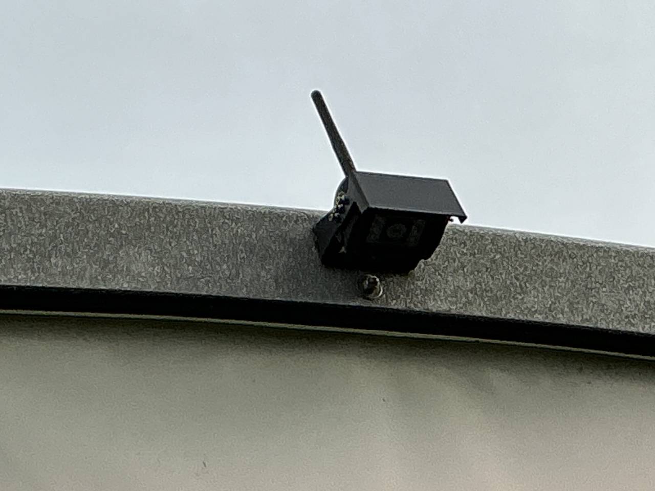 Paardentrailers Bockmann PORTAX E 2 Paarden 2021 Tweedehands