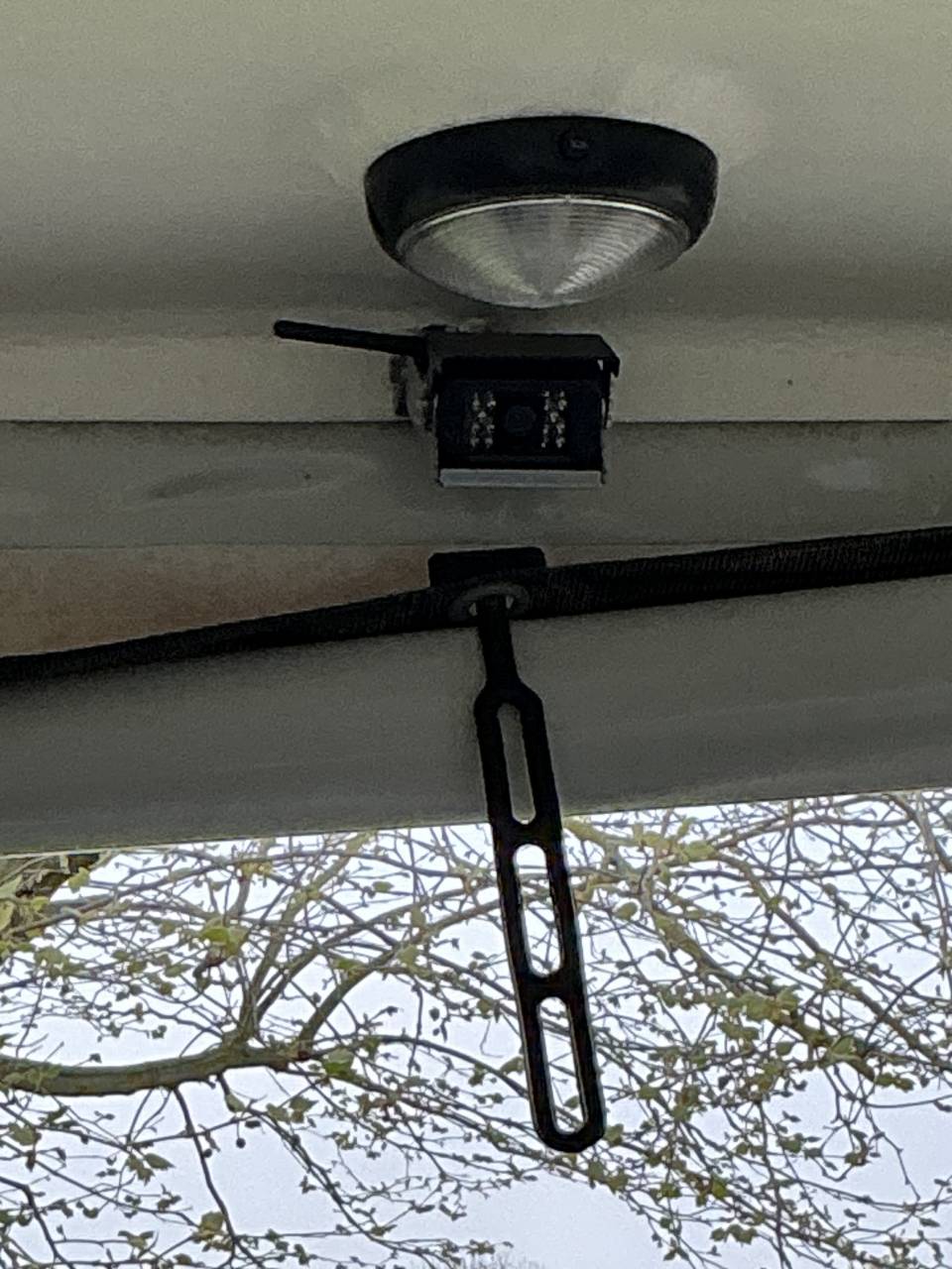 Paardentrailers Bockmann PORTAX E 2 Paarden 2021 Tweedehands