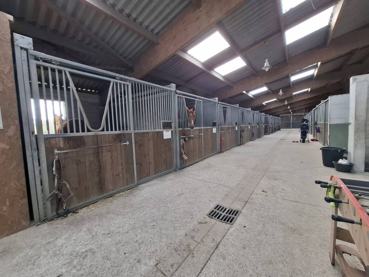 Hippisch vastgoed Koop Loiret