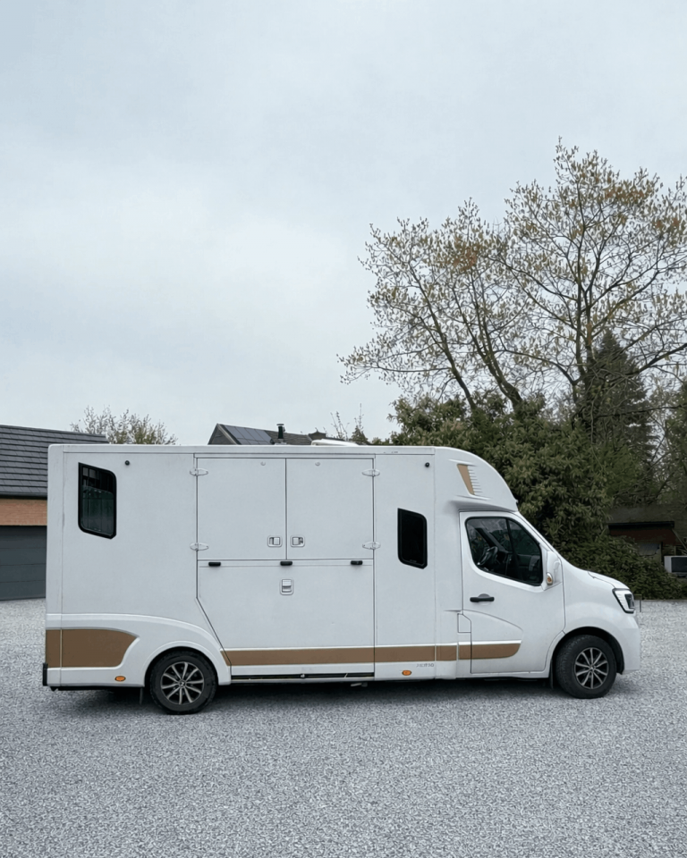 Kleine paardenvrachtwagen (B rijbewijs) Theault THEAULT RENAULT MASTER 2021 Tweedehands