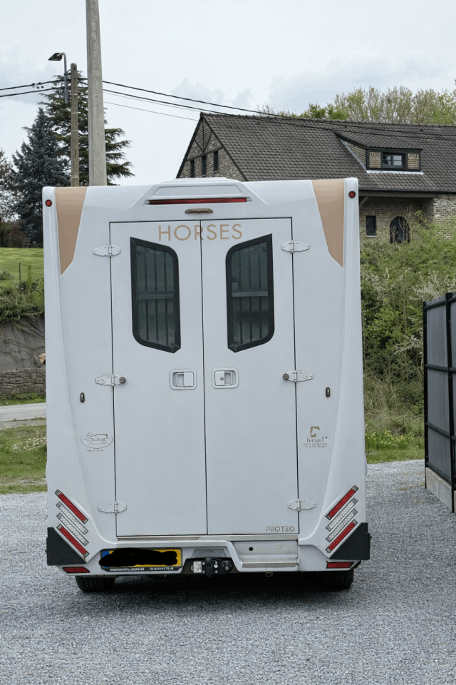 Kleine paardenvrachtwagen (B rijbewijs) Theault THEAULT RENAULT MASTER 2021 Tweedehands