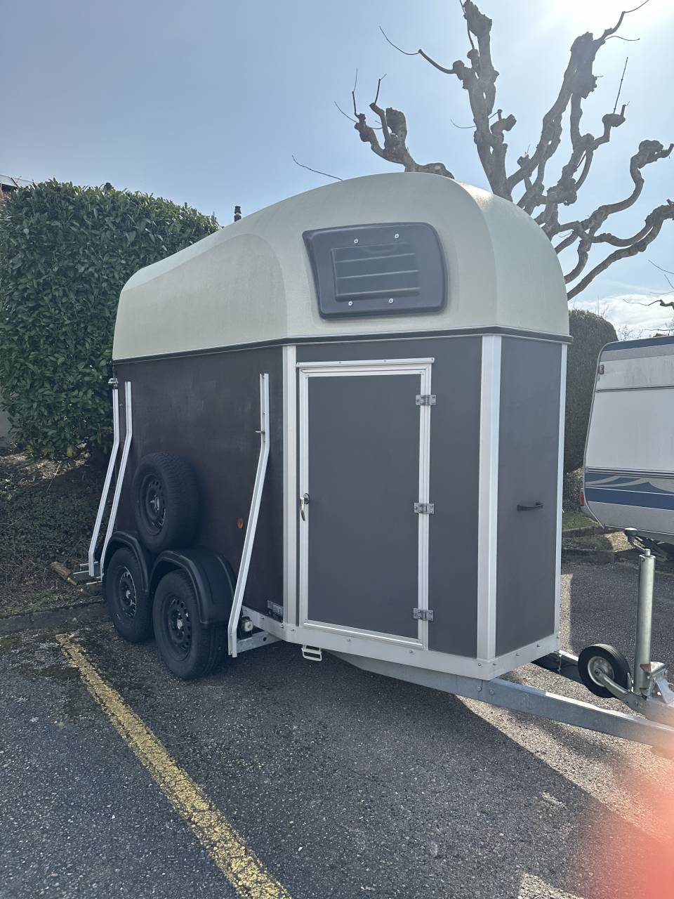 Paardentrailers Blomert T1 1,5 Paard 2016 Tweedehands