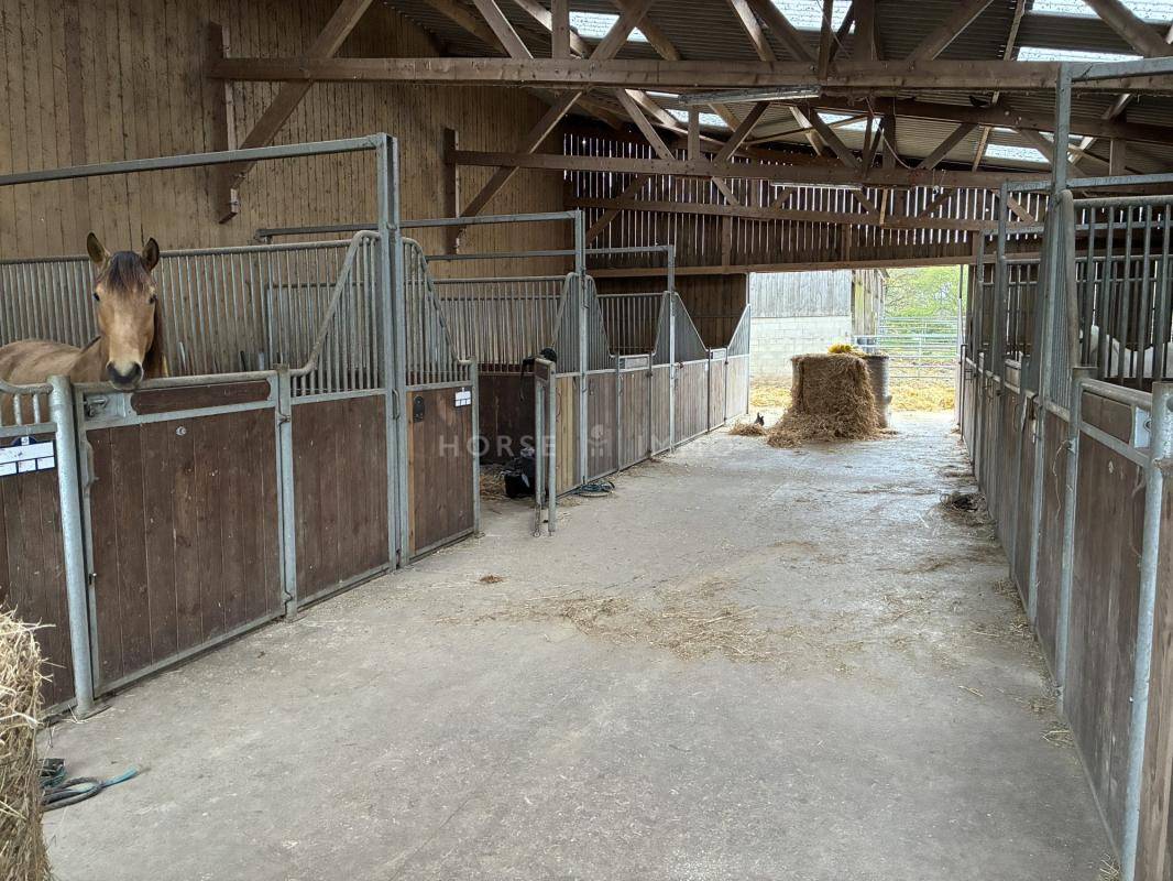 Ruiterclub Koop Morbihan