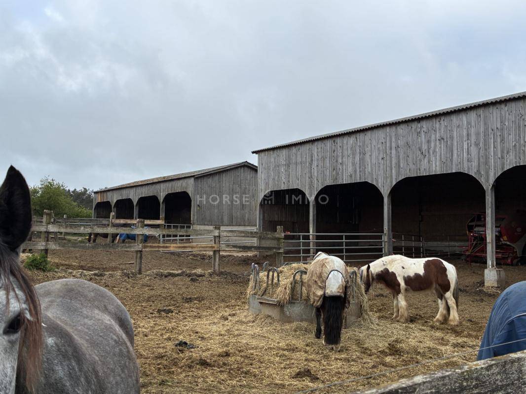Ruiterclub Koop Morbihan