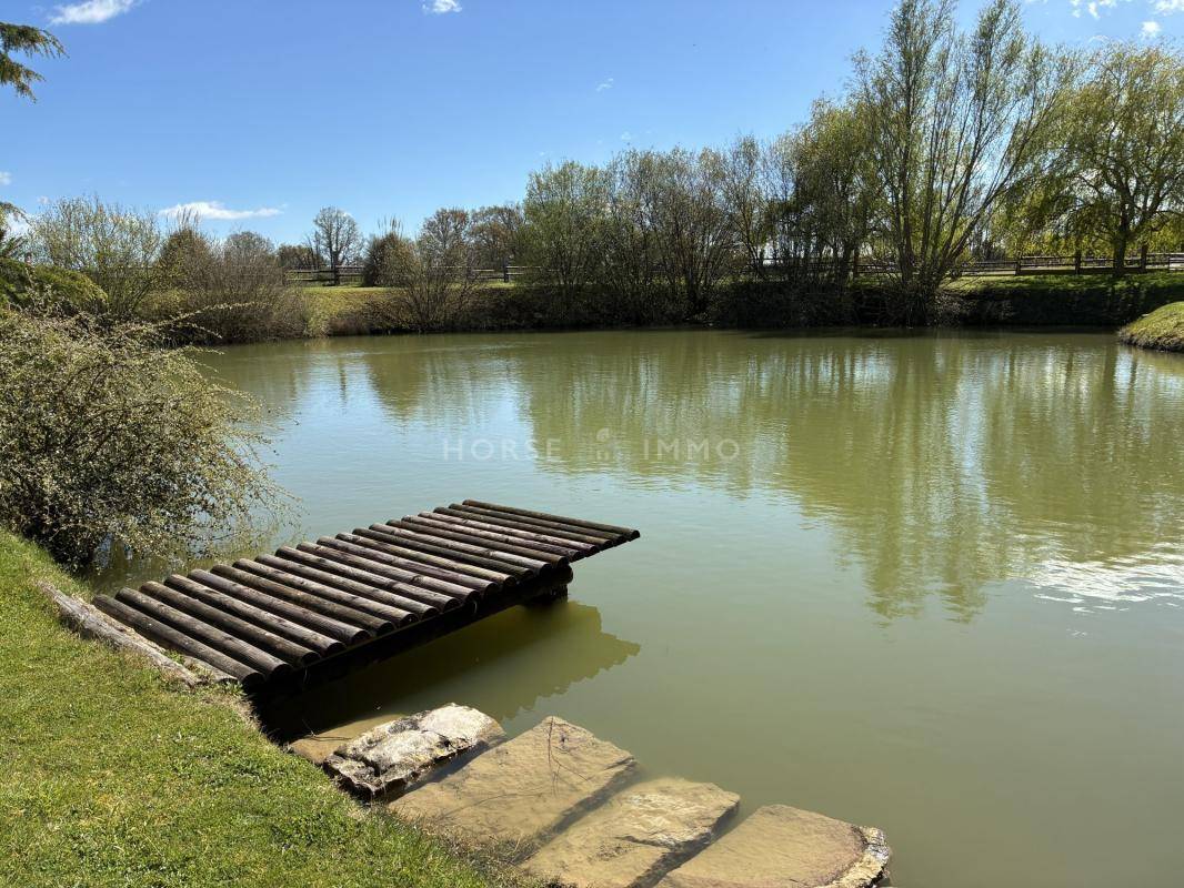 Hippisch vastgoed Koop Sarthe