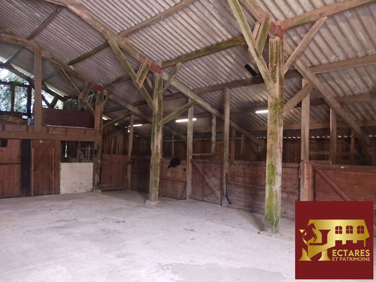 Paarden accommodatie Koop Morbihan