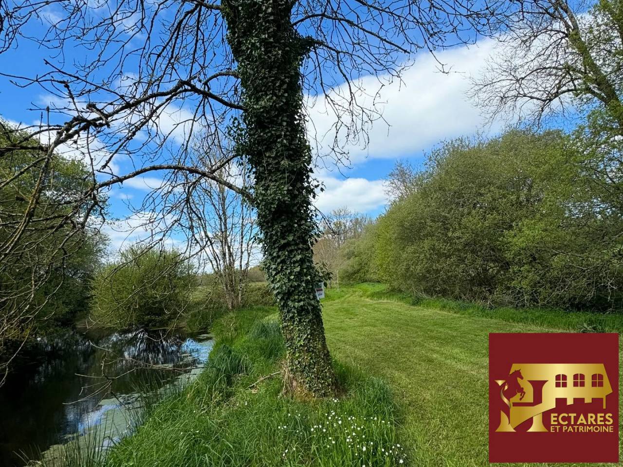 Paarden accommodatie Koop Morbihan