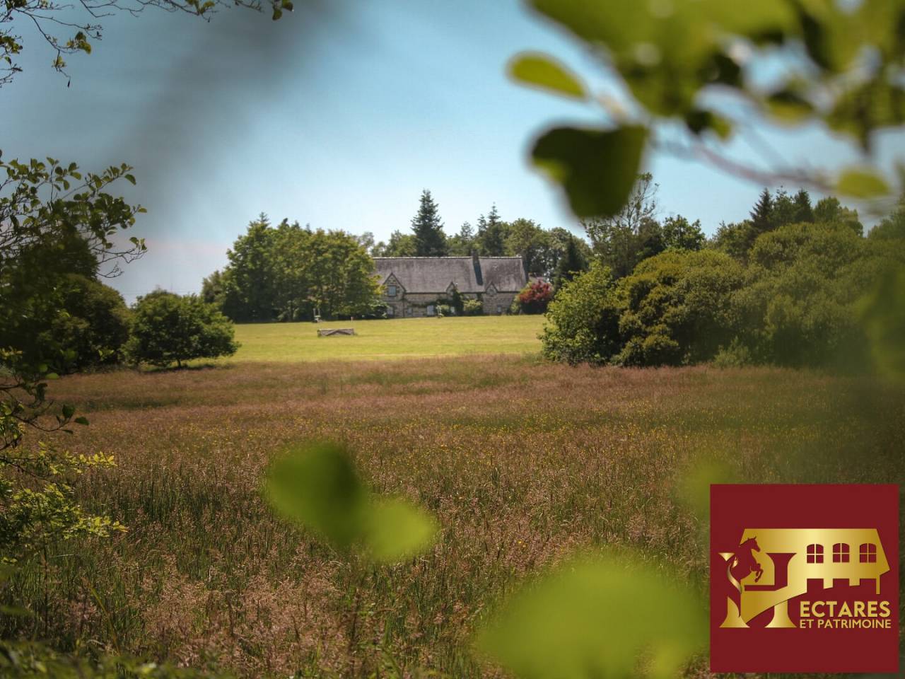 Paarden accommodatie Koop Morbihan