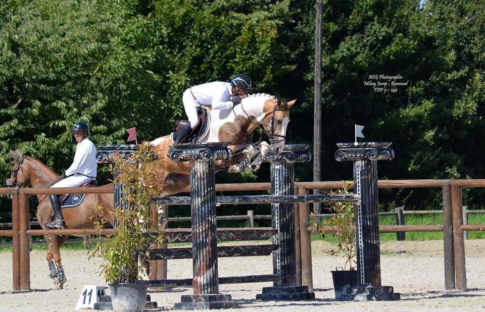 Merrie Selle Fran&ccedil;ais Te koop 2024 Perlino