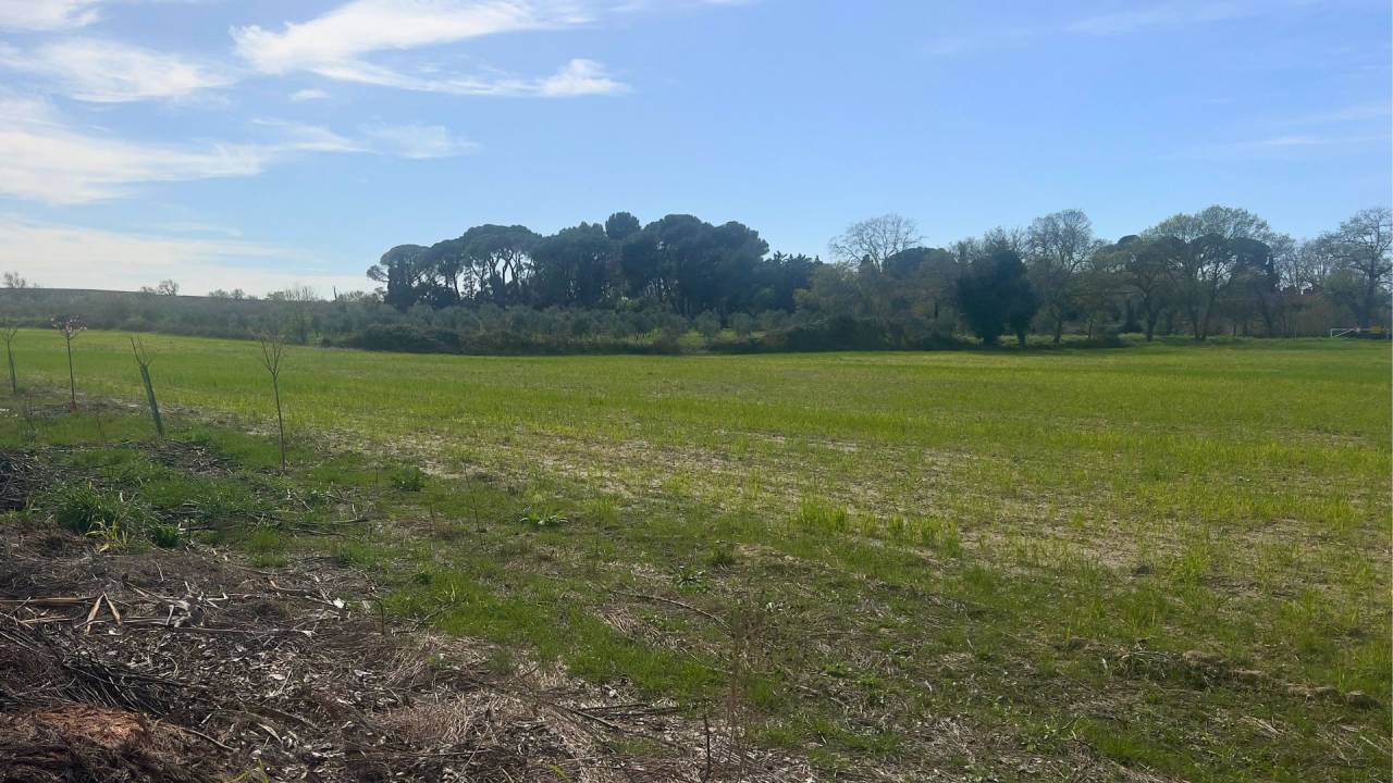 Terrein Koop H&eacute;rault