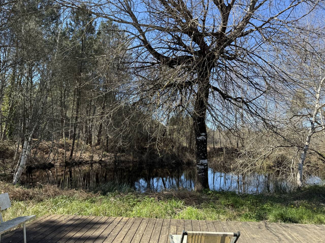 Eigenaren stal Koop Gironde