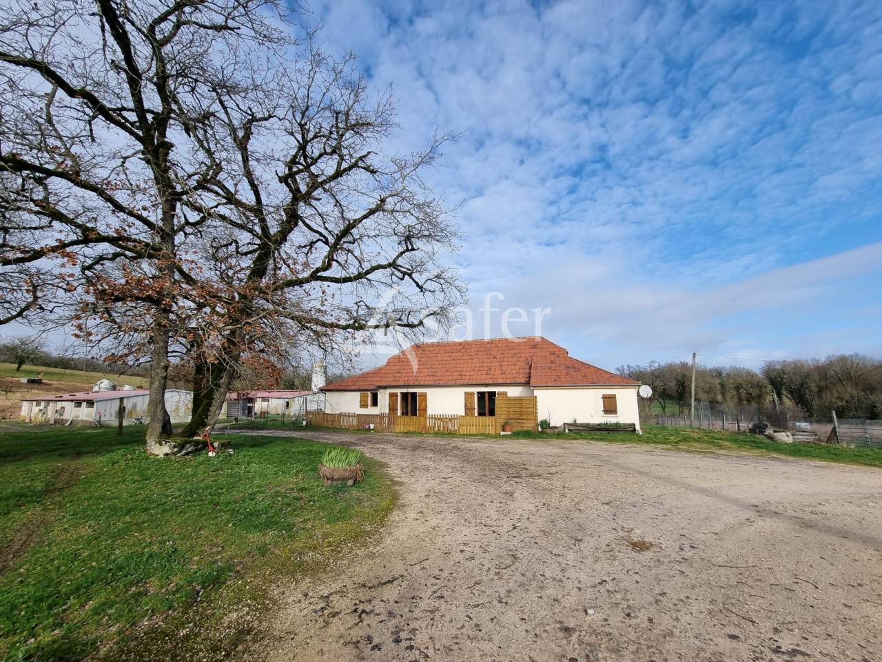 Varkens exploitatie Koop Lot