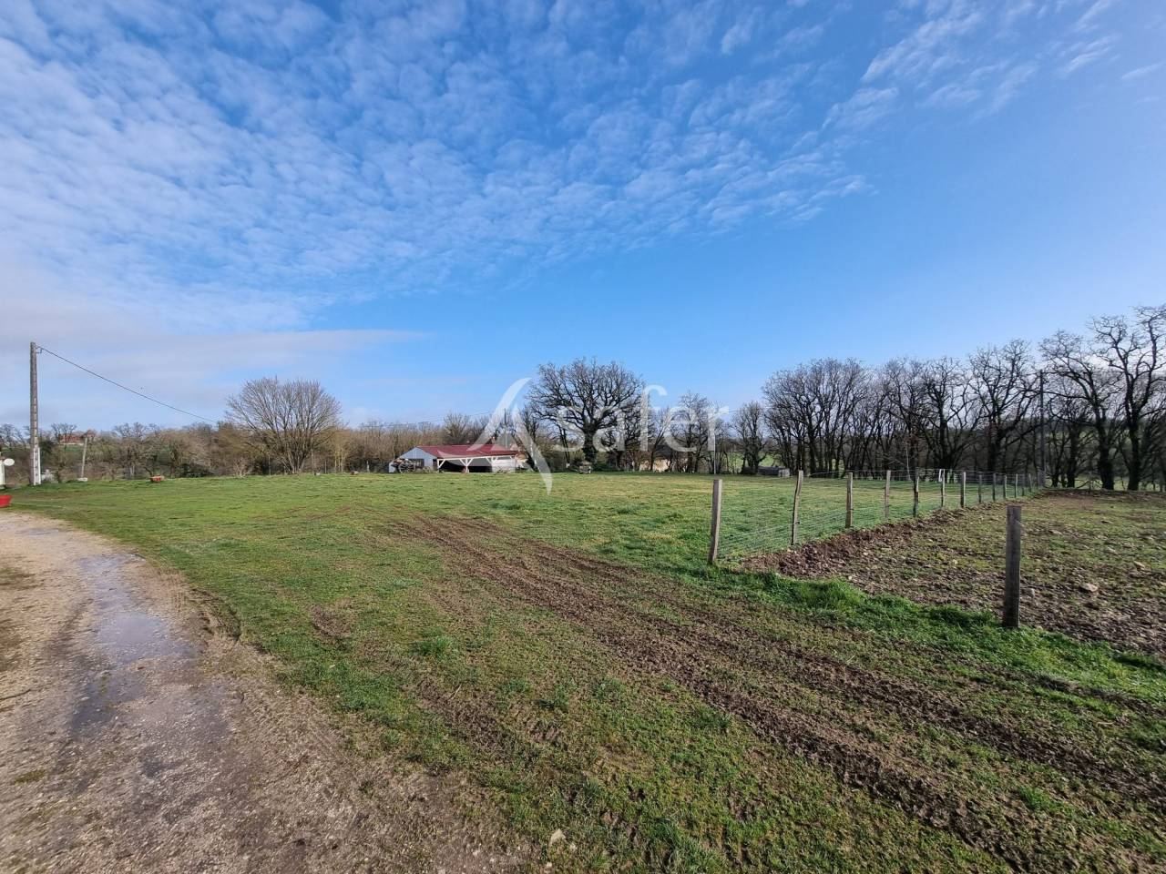 Varkens exploitatie Koop Lot