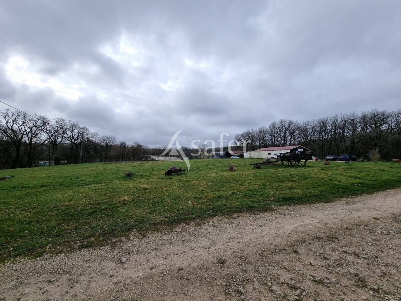 Varkens exploitatie Koop Lot