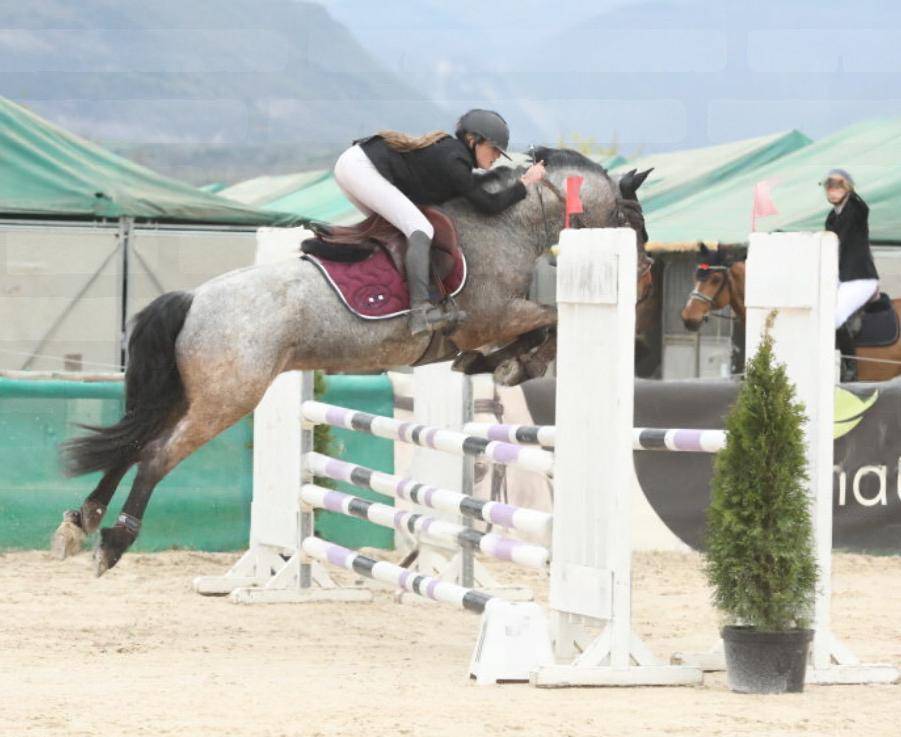 Ruin Connemara Te koop 2020 Bruinroan