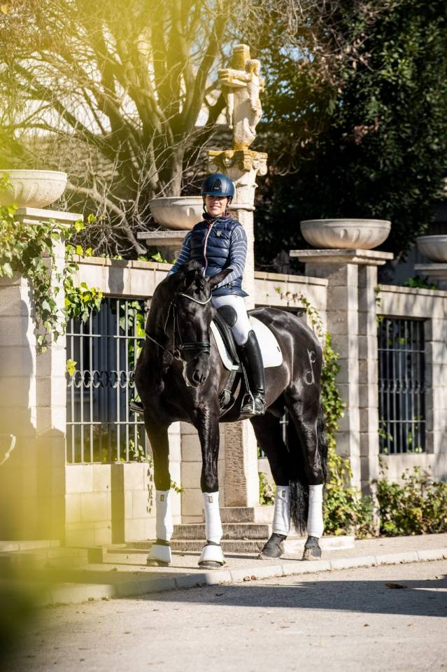 Veulen (vr) PRE Puur Ras Spaans Te koop 2026 Zwart ,  MONJE II