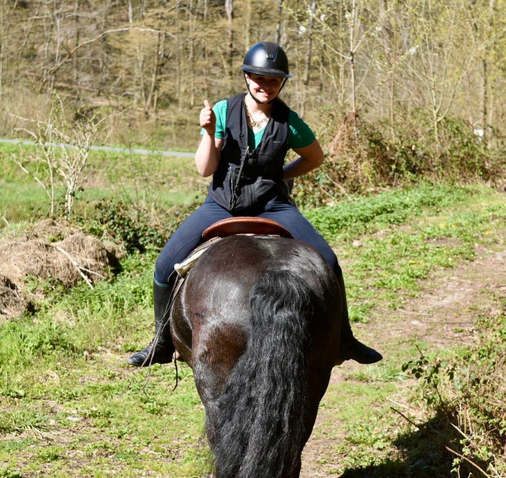 Merrie Bekend ras Te koop 2015 Zwart