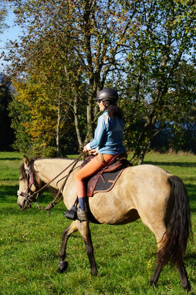 Merrie Lusitano Te koop 2020 Isabel