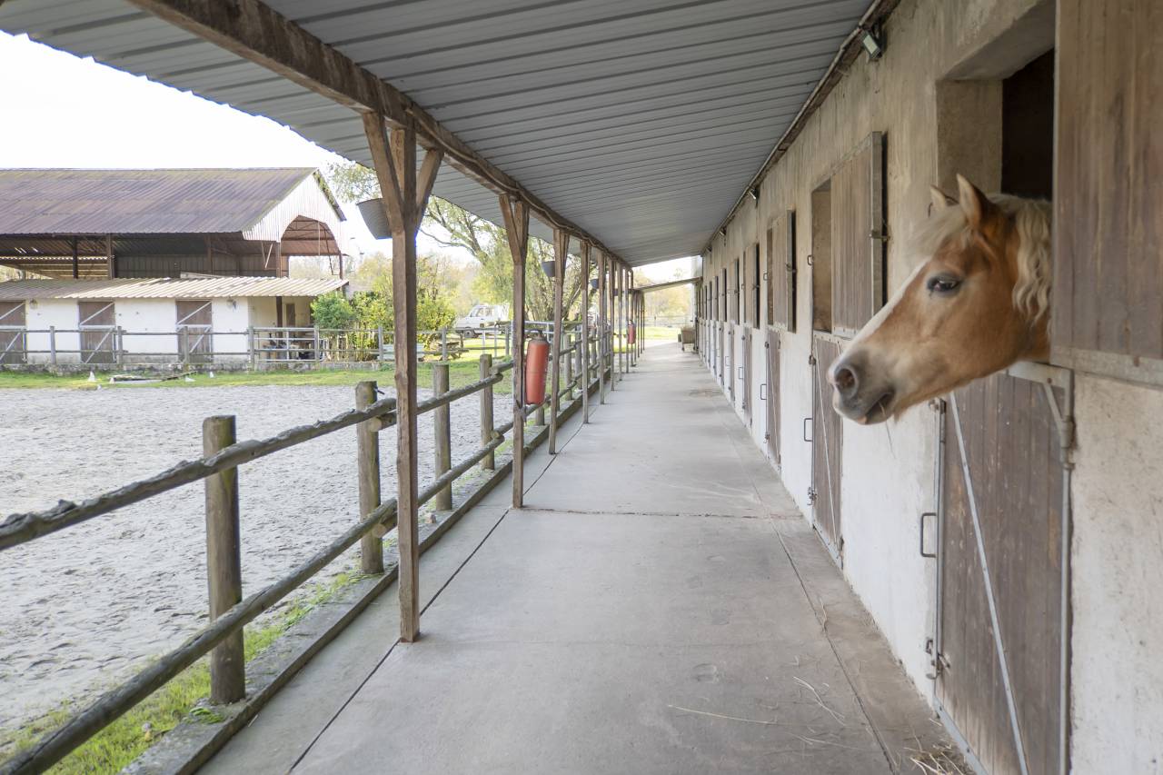 Hippisch vastgoed Koop Seine-et-Marne
