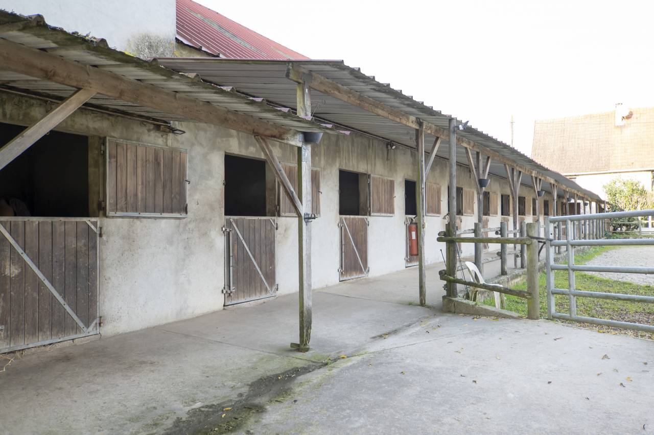Hippisch vastgoed Koop Seine-et-Marne