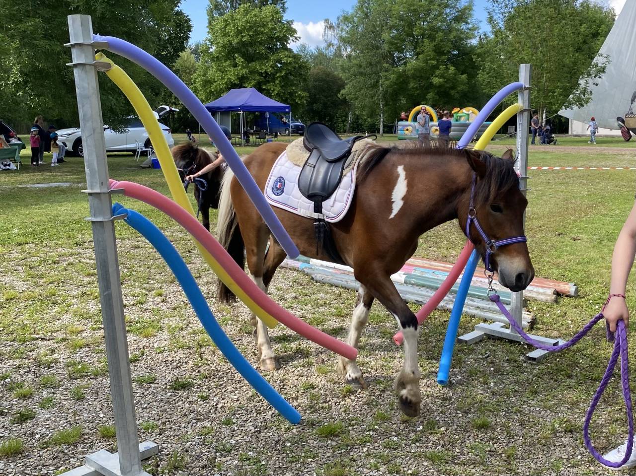 Ruin Ras onbekend Te koop 2019 Bont