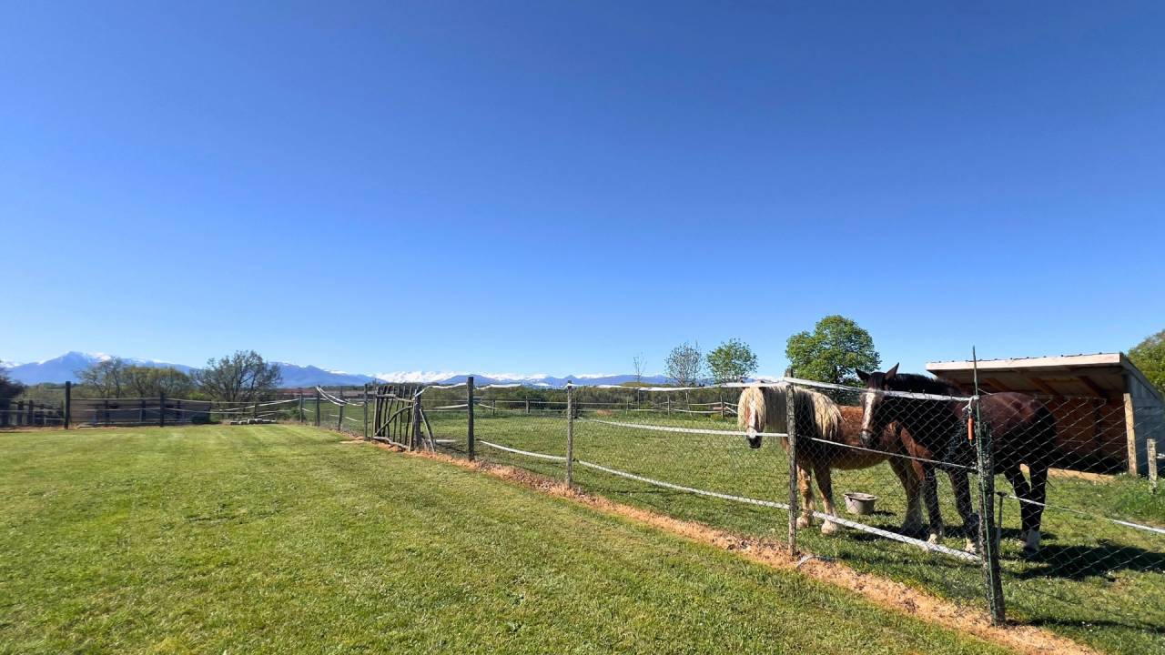 Hippisch vastgoed Koop Haute-Garonne