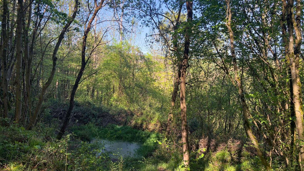 Hippisch vastgoed Koop Haute-Garonne