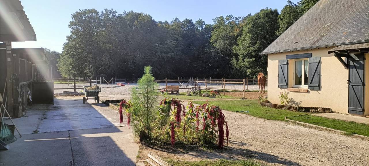 Paarden accommodatie Koop Eure