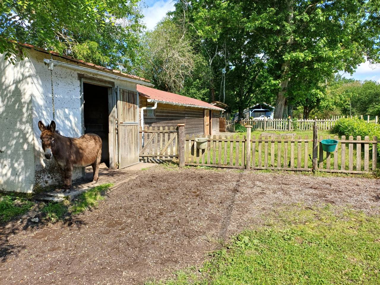 Hippisch vastgoed Koop Landes