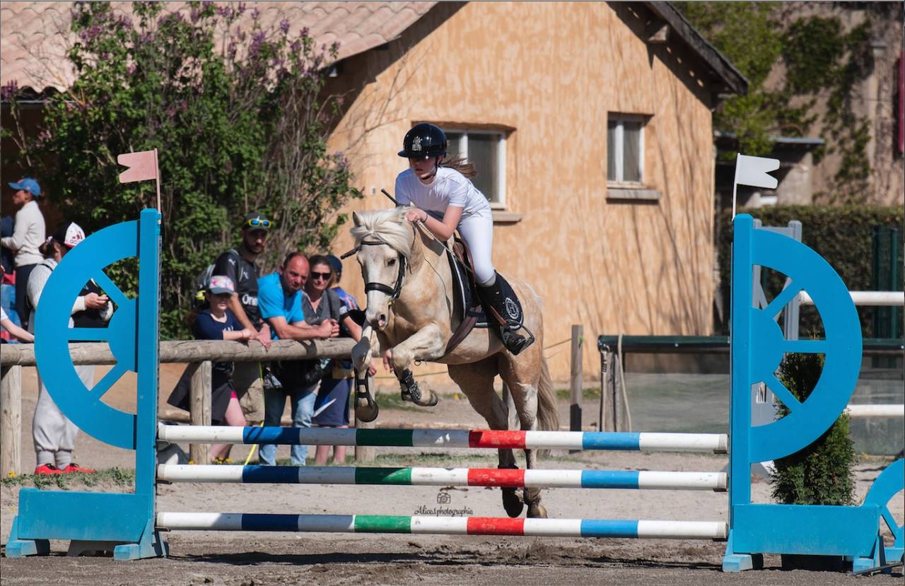 Ruin Franse rijpony PFS Te koop 2017 Palomino ,  SNOOPY DES ETISSES (PFS)