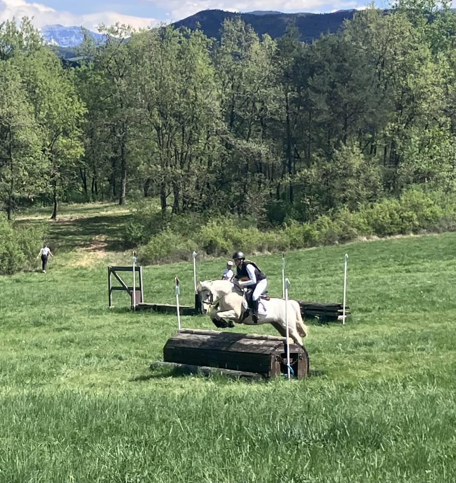 Ruin Franse rijpony PFS Te koop 2017 Palomino ,  SNOOPY DES ETISSES (PFS)