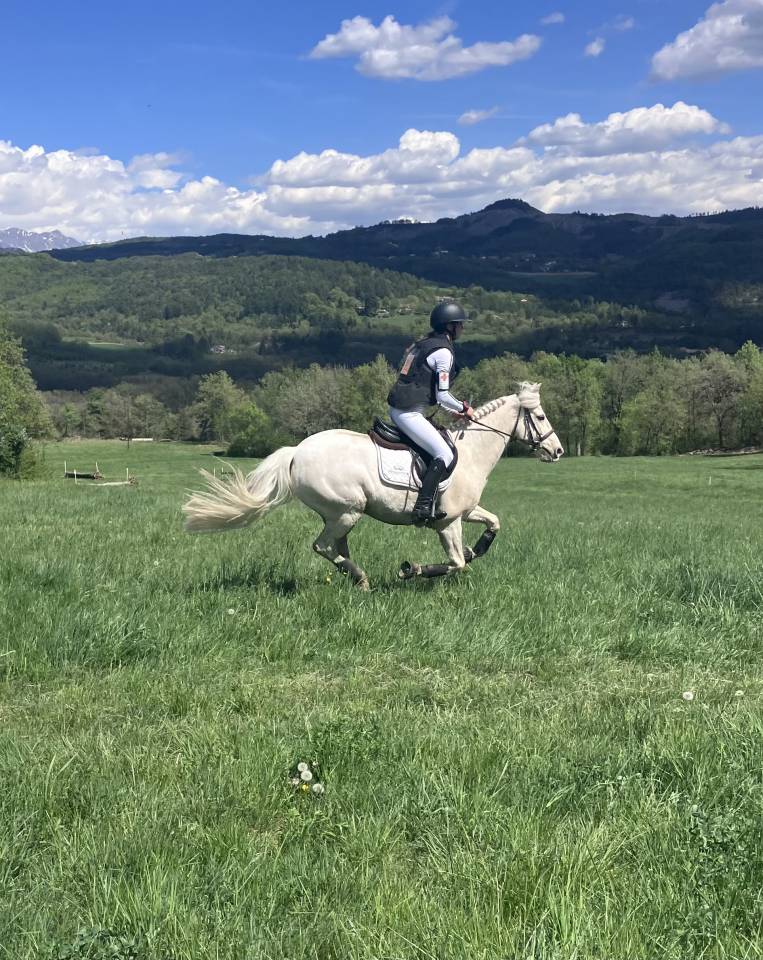 Ruin Franse rijpony PFS Te koop 2017 Palomino ,  SNOOPY DES ETISSES (PFS)