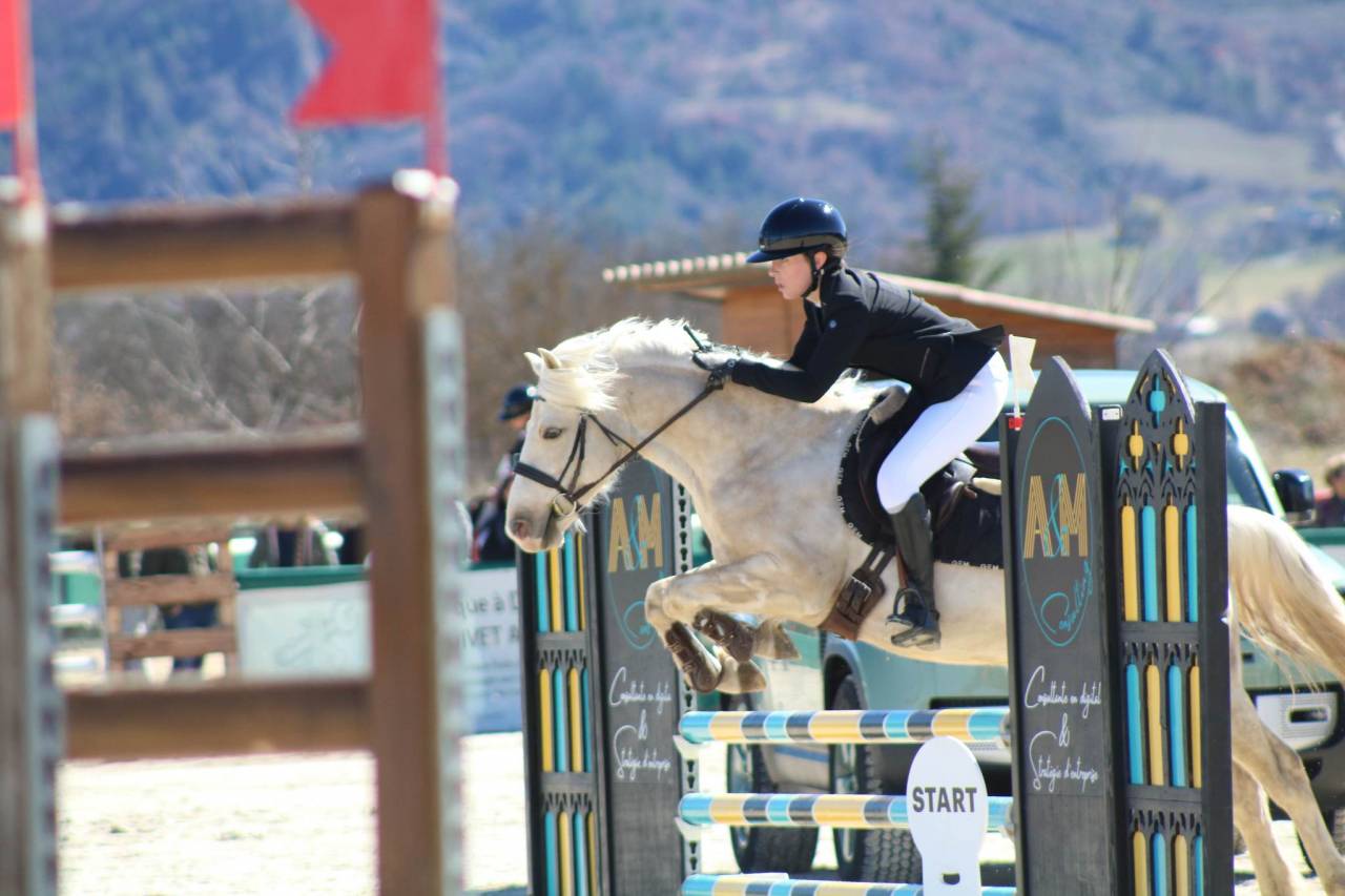 Ruin Franse rijpony PFS Te koop 2017 Palomino ,  SNOOPY DES ETISSES (PFS)