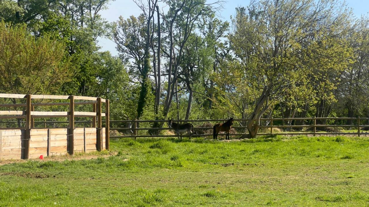 Hippisch vastgoed Koop Vaucluse
