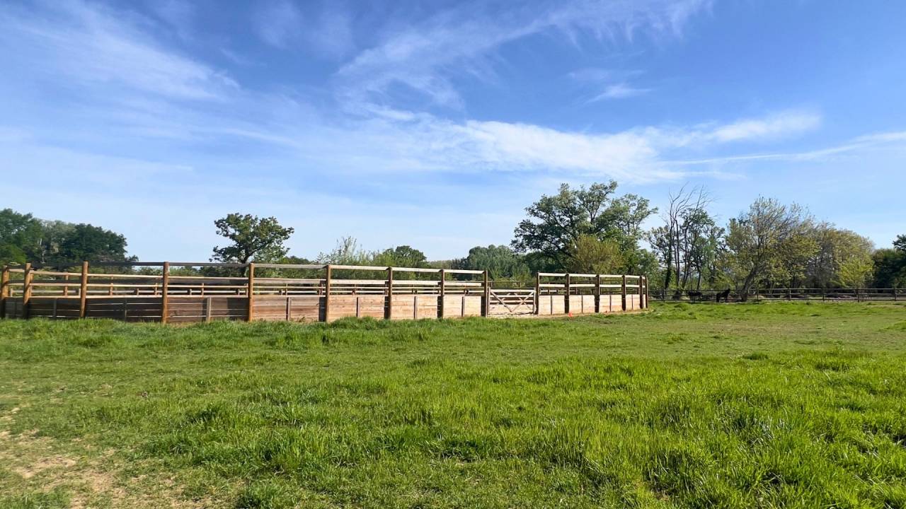 Hippisch vastgoed Koop Vaucluse