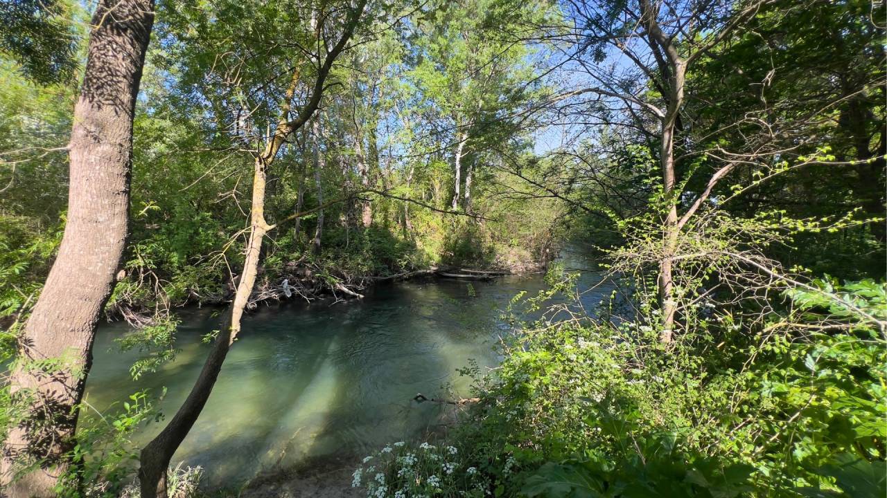 Hippisch vastgoed Koop Vaucluse