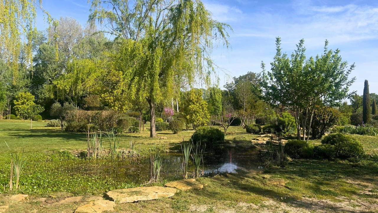 Hippisch vastgoed Koop Vaucluse