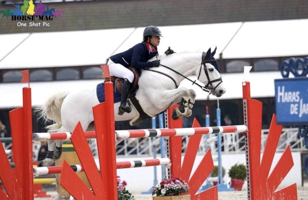 Hengst Connemara Te koop 2024 Schimmel ,  UBAYE PONDI