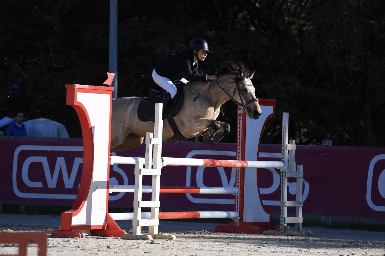 Merrie Connemara Te koop 2018 Isabel ,  HECTOR OF LOUGHFADDA