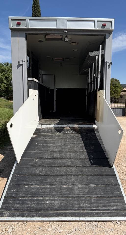 Zware paardenvrachtwagen (groot rijbewijs) Renault Prenium 1997 Tweedehands