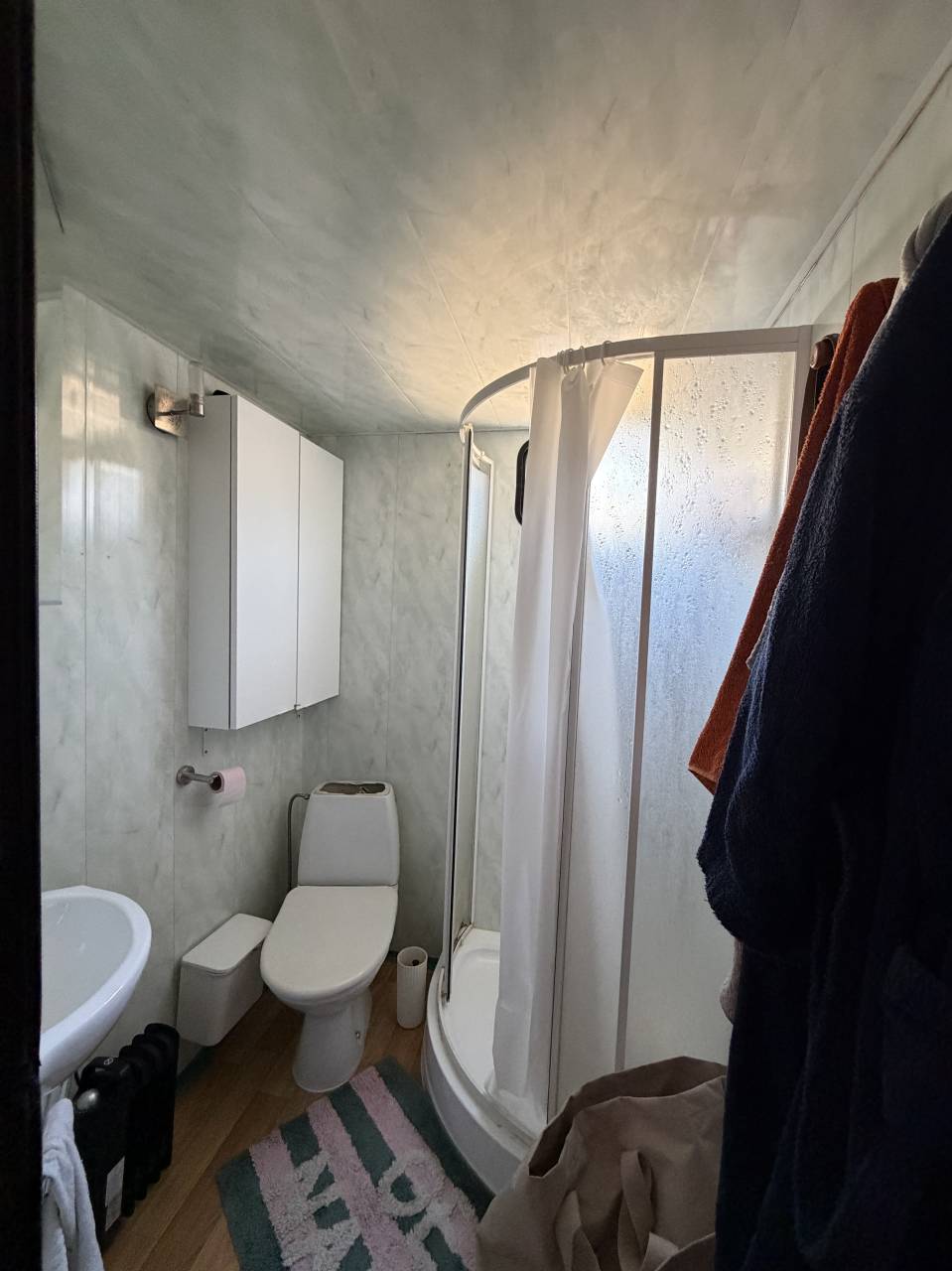 Zware paardenvrachtwagen (groot rijbewijs) Renault Prenium 1997 Tweedehands