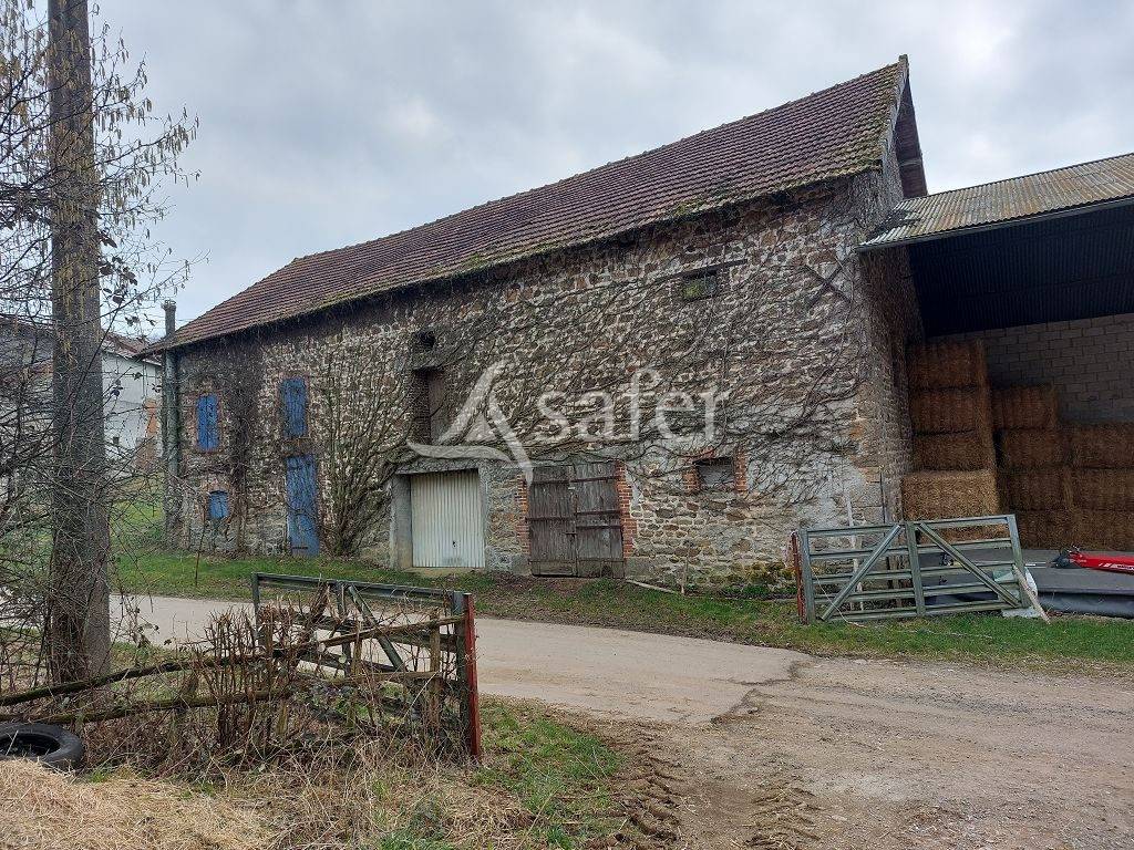 Schapen exploitatie Koop Creuse