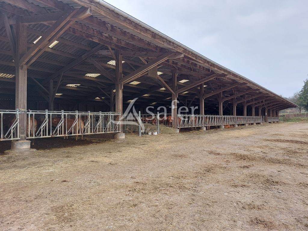 Schapen exploitatie Koop Creuse