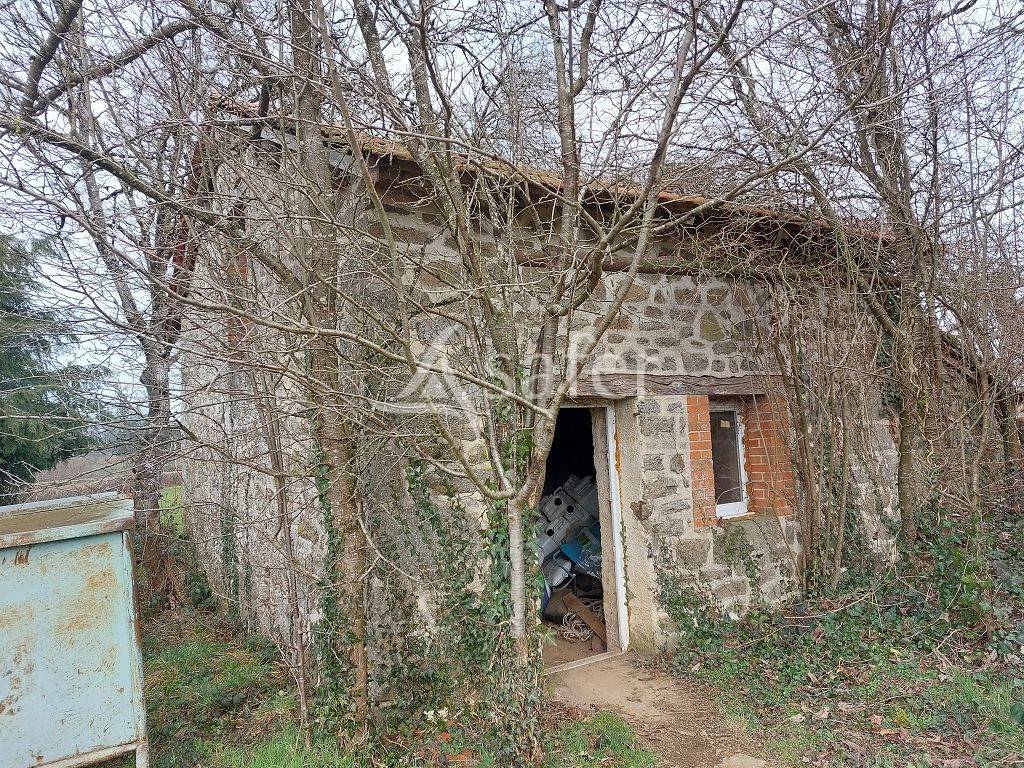 Schapen exploitatie Koop Creuse