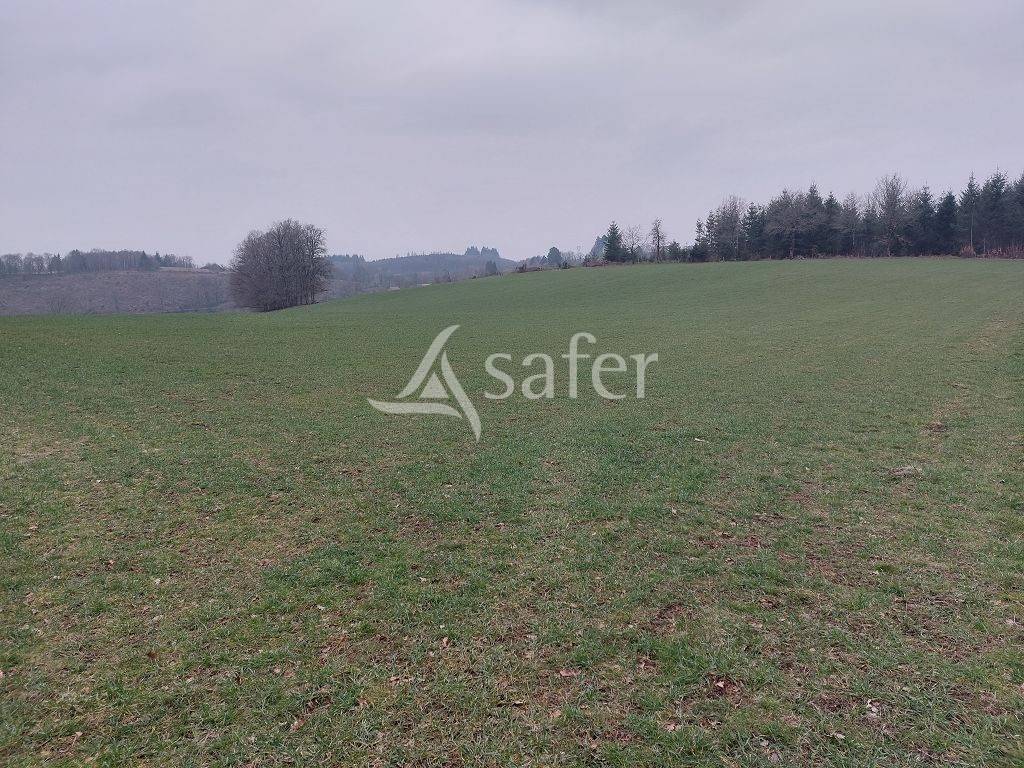 Schapen exploitatie Koop Creuse