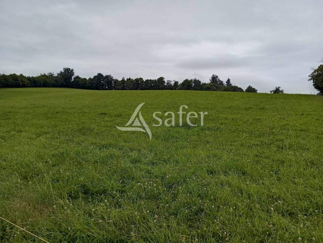 Schapen exploitatie Koop Creuse