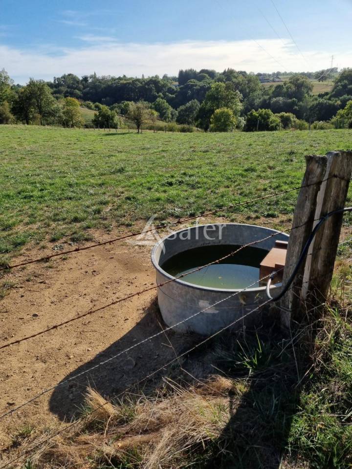 Landbouw bedrijf Koop Aveyron