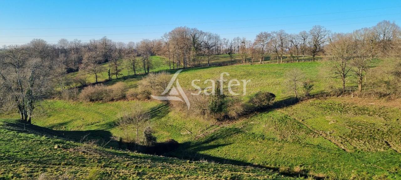 Landbouw bedrijf Koop Aveyron