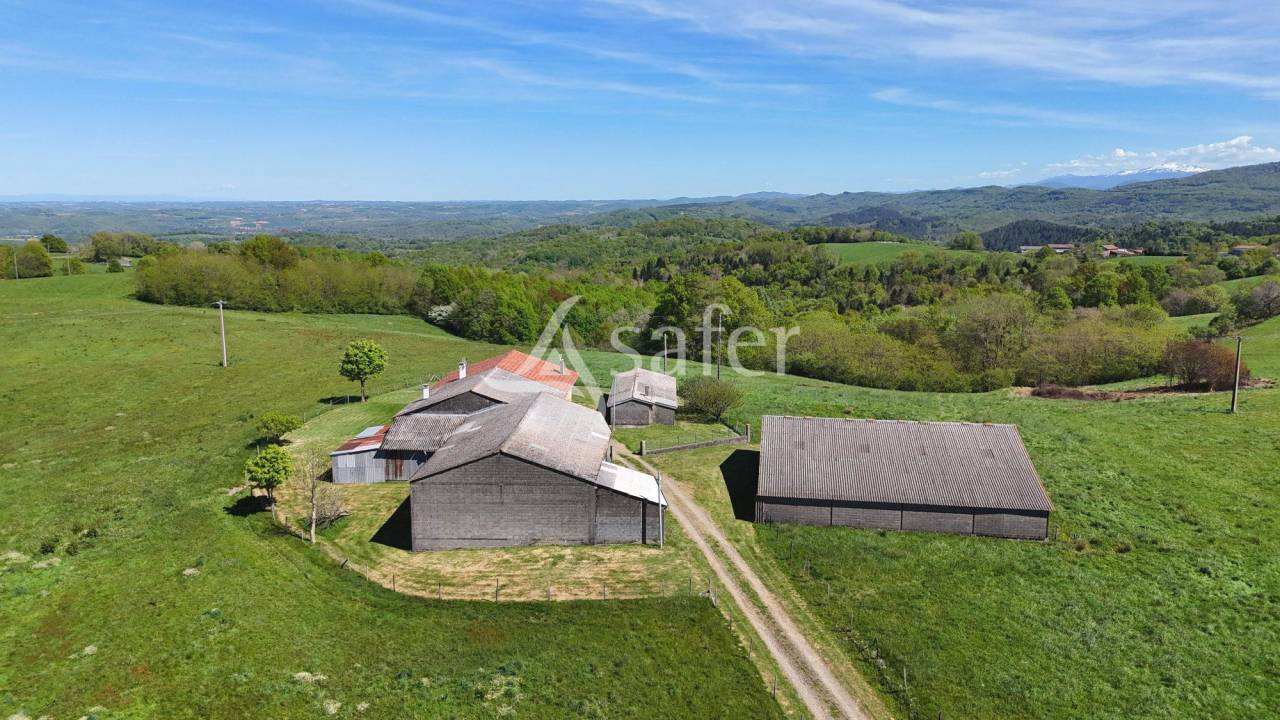 Landbouw bedrijf Koop Haute-Garonne
